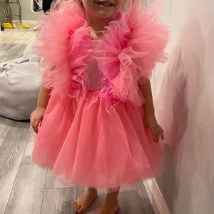 Bright Pink Flamingo Tulle Dresses- Toddler